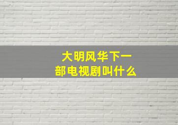 大明风华下一部电视剧叫什么