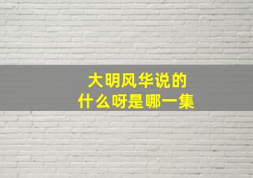 大明风华说的什么呀是哪一集