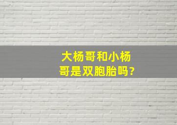 大杨哥和小杨哥是双胞胎吗?