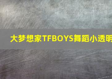 大梦想家TFBOYS舞蹈小透明