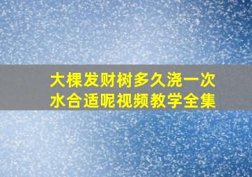 大棵发财树多久浇一次水合适呢视频教学全集