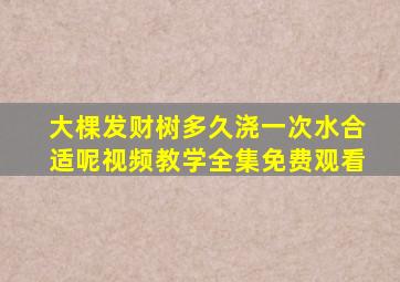 大棵发财树多久浇一次水合适呢视频教学全集免费观看