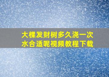 大棵发财树多久浇一次水合适呢视频教程下载