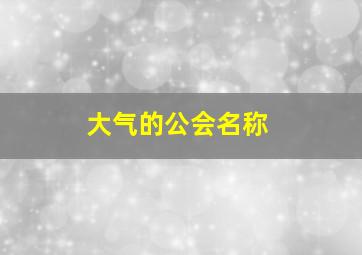 大气的公会名称