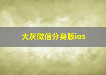 大灰微信分身版ios