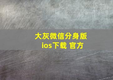 大灰微信分身版ios下载 官方