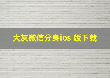 大灰微信分身ios 版下载