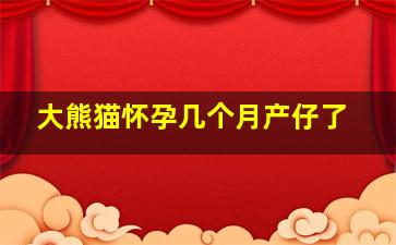 大熊猫怀孕几个月产仔了