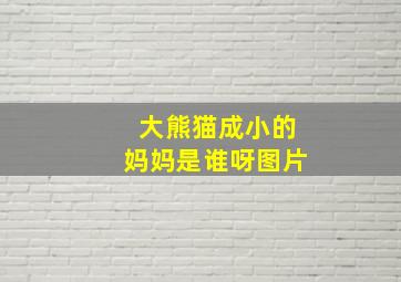 大熊猫成小的妈妈是谁呀图片