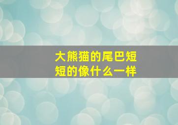 大熊猫的尾巴短短的像什么一样