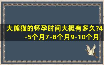 大熊猫的怀孕时间大概有多久?4-5个月7-8个月9-10个月