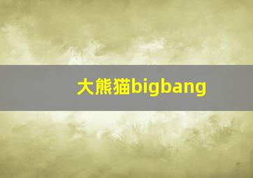 大熊猫bigbang