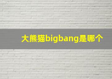 大熊猫bigbang是哪个