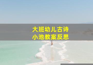 大班幼儿古诗小池教案反思