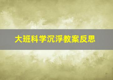 大班科学沉浮教案反思