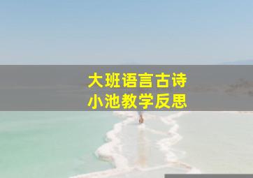 大班语言古诗小池教学反思