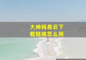 大神网易云下载链接怎么用