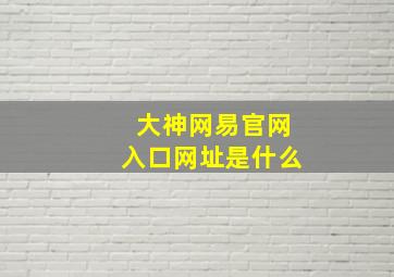 大神网易官网入口网址是什么