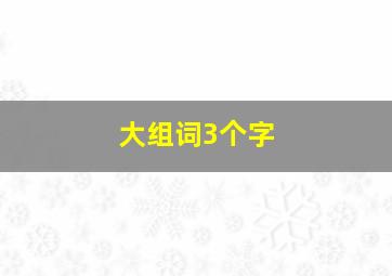 大组词3个字