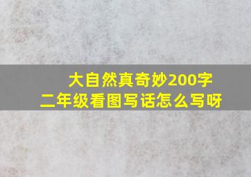 大自然真奇妙200字二年级看图写话怎么写呀