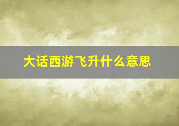 大话西游飞升什么意思