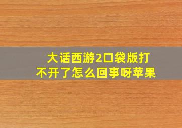 大话西游2口袋版打不开了怎么回事呀苹果