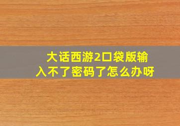 大话西游2口袋版输入不了密码了怎么办呀