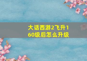 大话西游2飞升160级后怎么升级