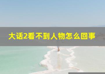 大话2看不到人物怎么回事