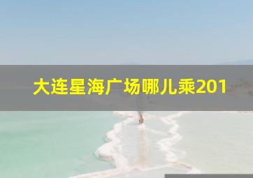 大连星海广场哪儿乘201