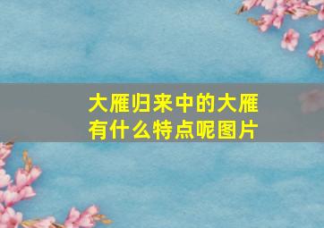 大雁归来中的大雁有什么特点呢图片