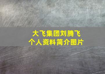 大飞集团刘腾飞个人资料简介图片