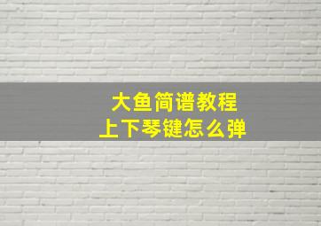 大鱼简谱教程上下琴键怎么弹