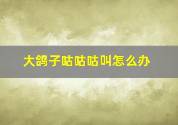 大鸽子咕咕咕叫怎么办