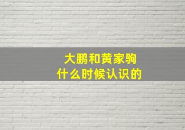 大鹏和黄家驹什么时候认识的