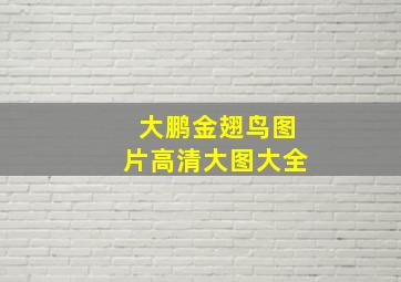 大鹏金翅鸟图片高清大图大全