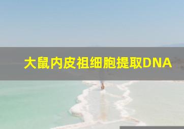 大鼠内皮祖细胞提取DNA