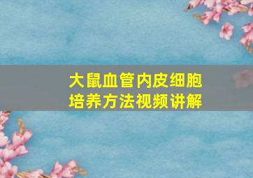 大鼠血管内皮细胞培养方法视频讲解