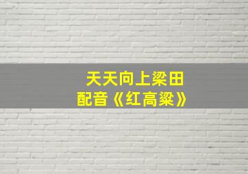 天天向上梁田配音《红高粱》