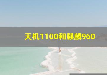 天机1100和麒麟960