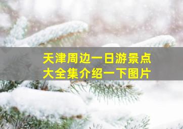 天津周边一日游景点大全集介绍一下图片