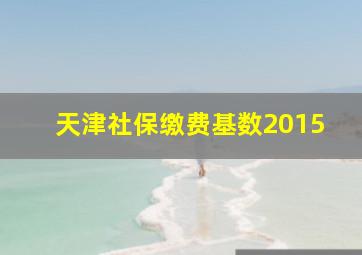 天津社保缴费基数2015