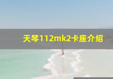 天琴112mk2卡座介绍