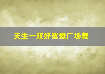 天生一双好鸳鸯广场舞