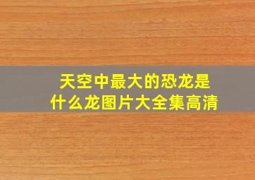 天空中最大的恐龙是什么龙图片大全集高清