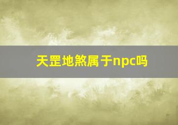 天罡地煞属于npc吗