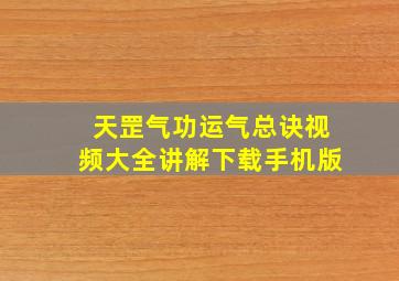 天罡气功运气总诀视频大全讲解下载手机版