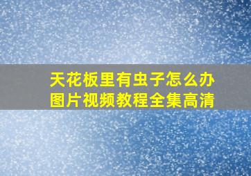 天花板里有虫子怎么办图片视频教程全集高清