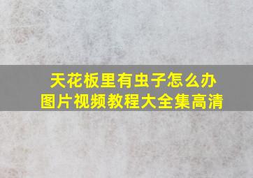 天花板里有虫子怎么办图片视频教程大全集高清