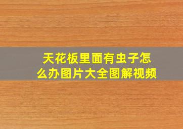 天花板里面有虫子怎么办图片大全图解视频